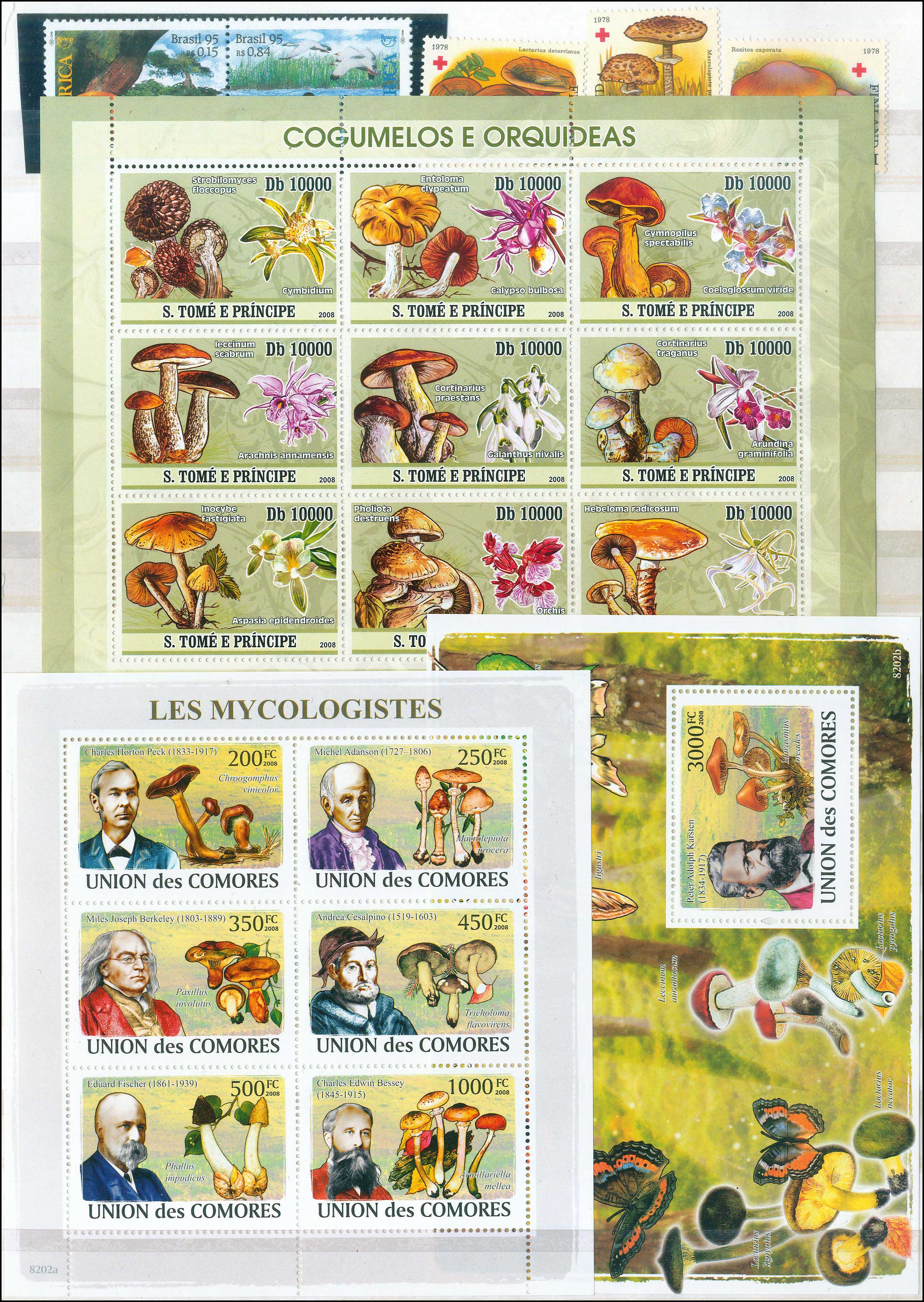 Lot 00960