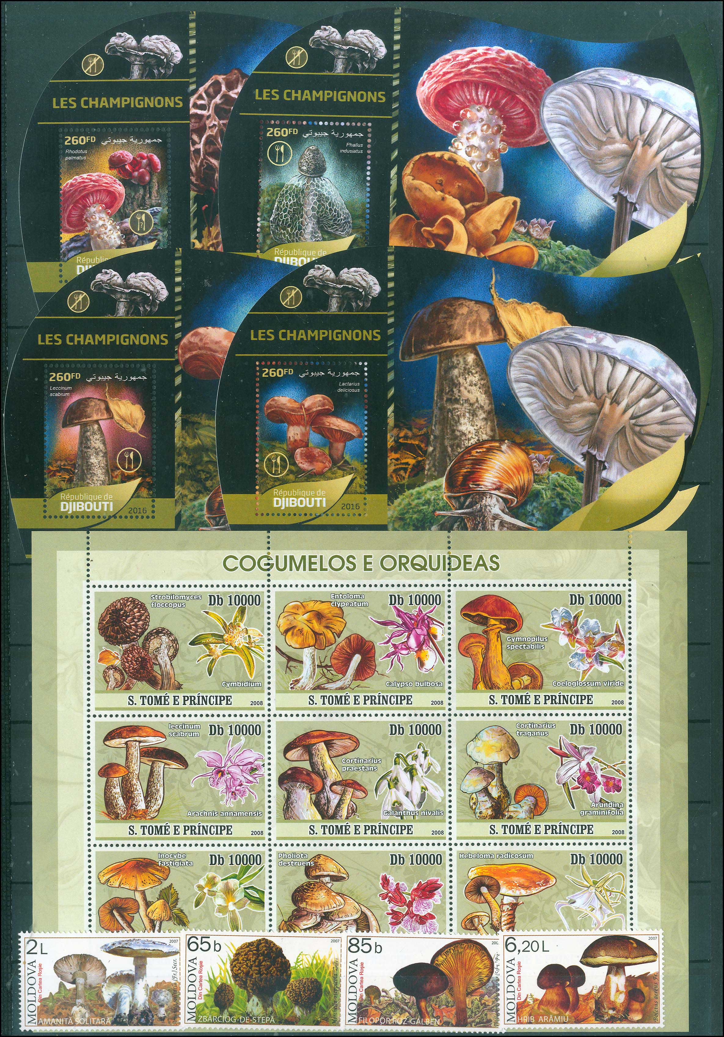 Lot 01103