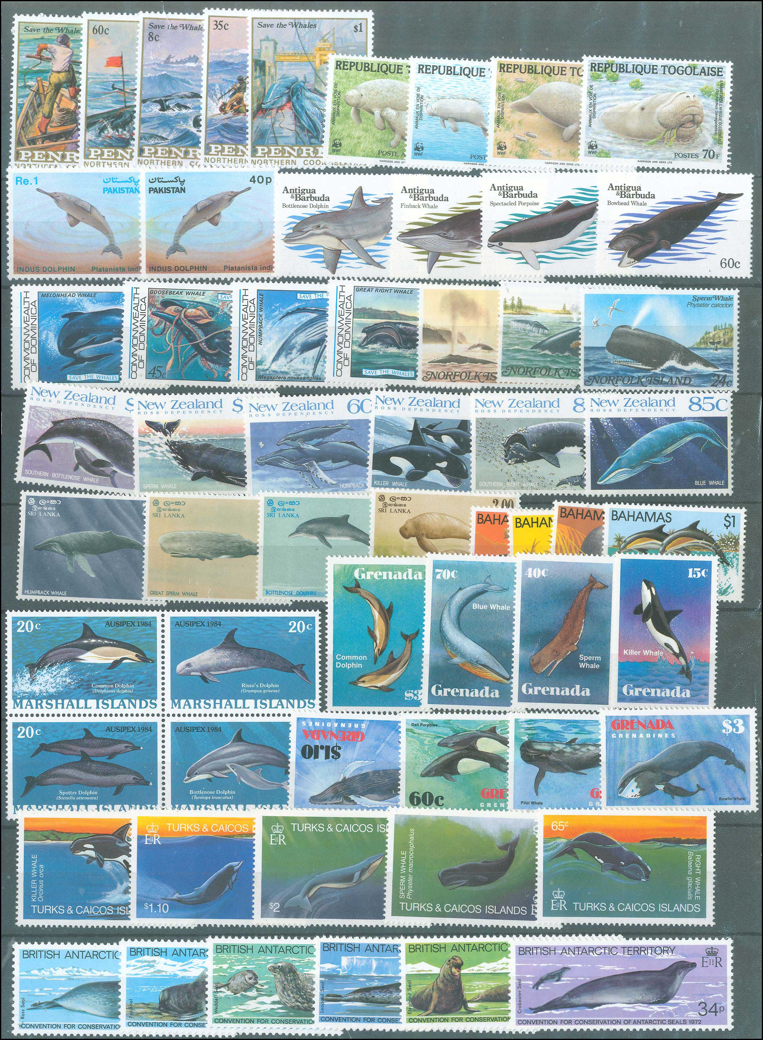 Lot 01051