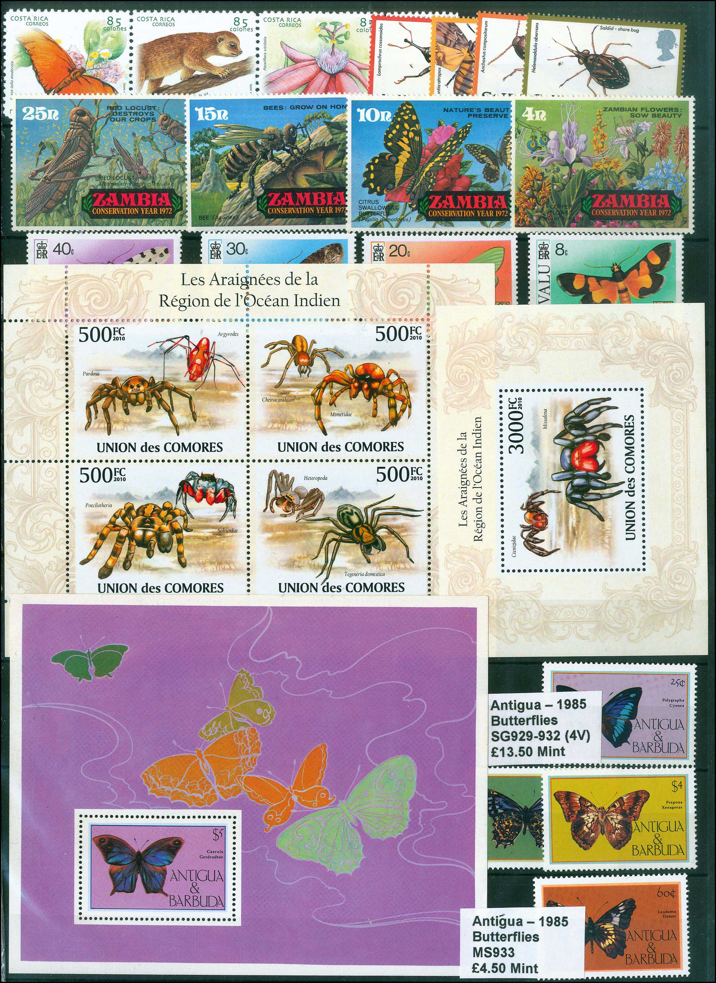 Lot 01099