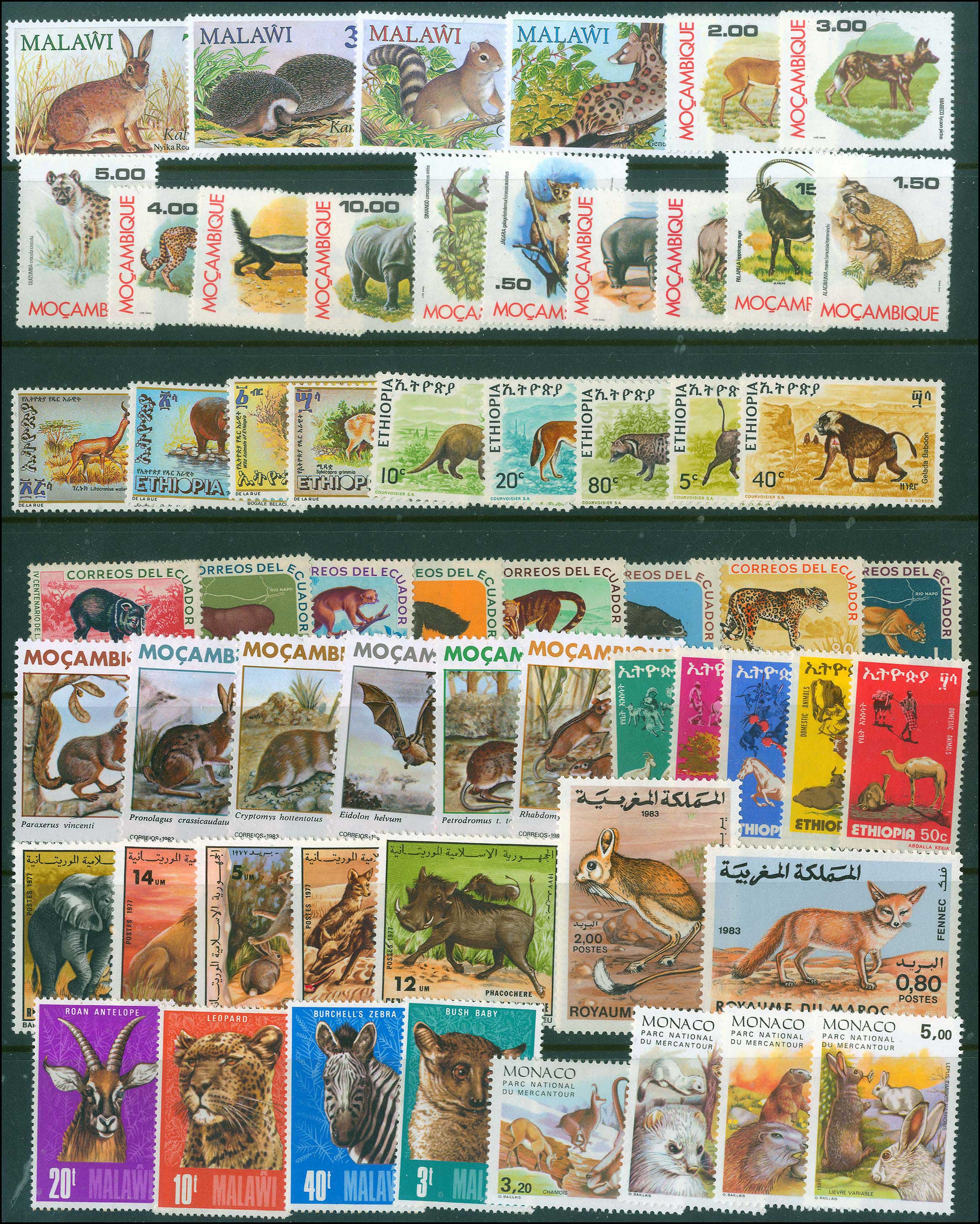 Lot 01097