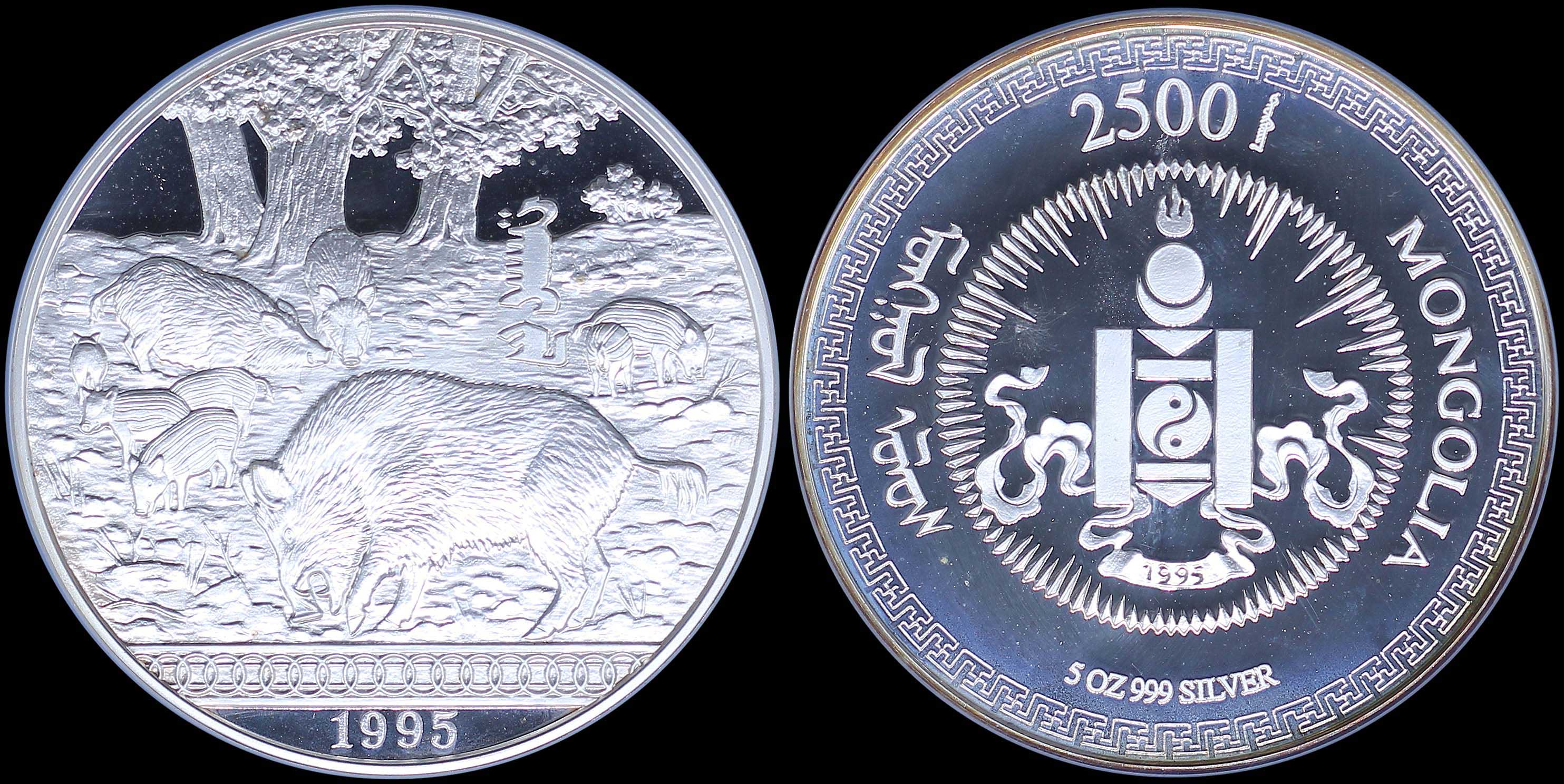Lot 06982