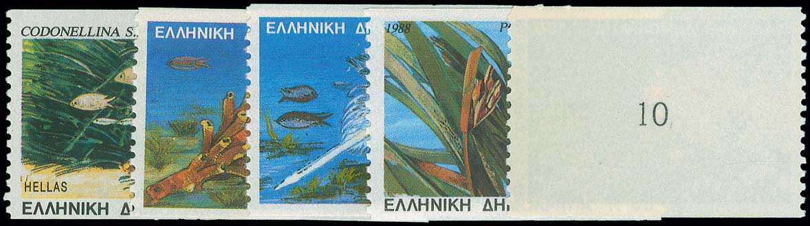 Lot 00532