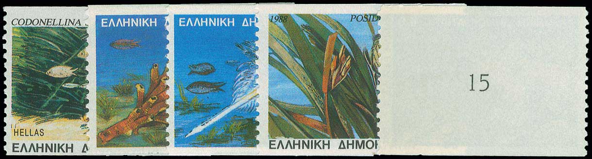 Lot 00533