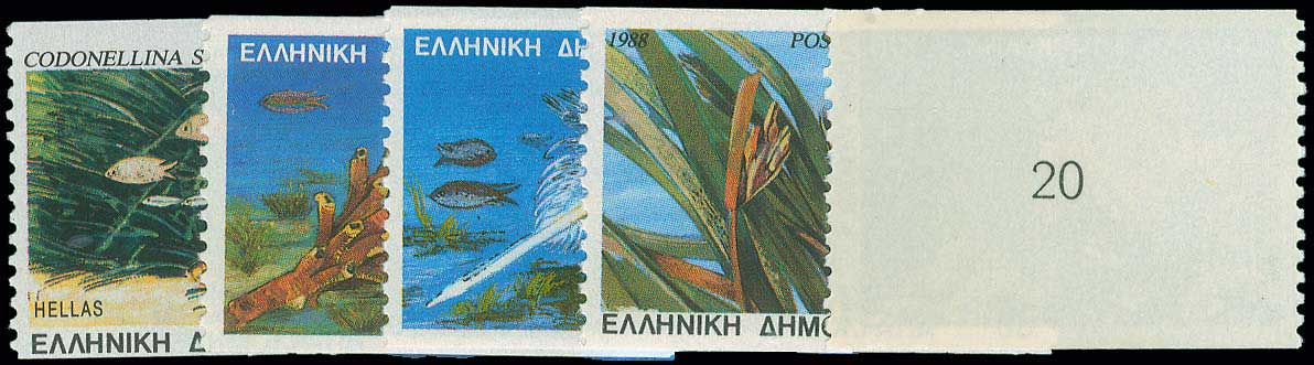 Lot 00755
