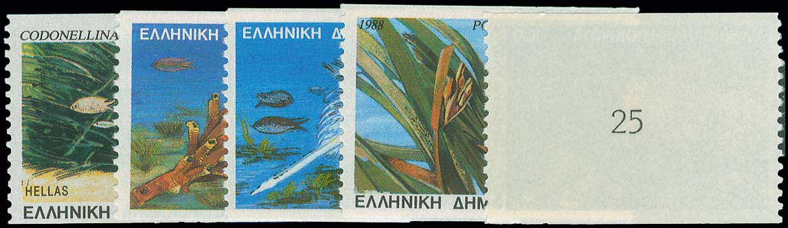 Lot 00756