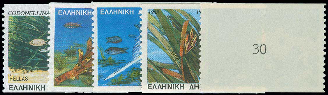 Lot 00757