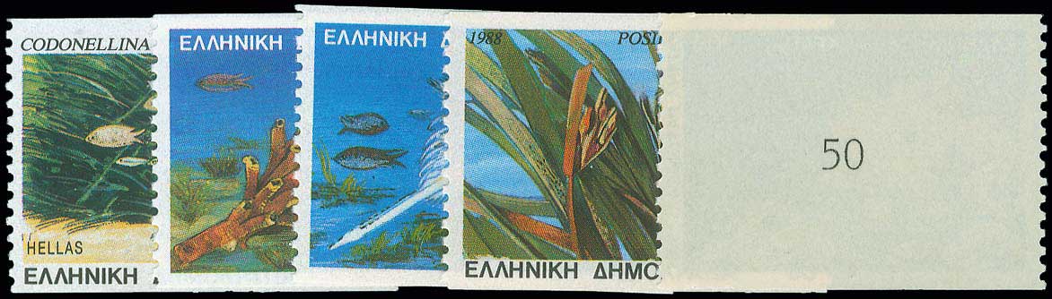 Lot 00761