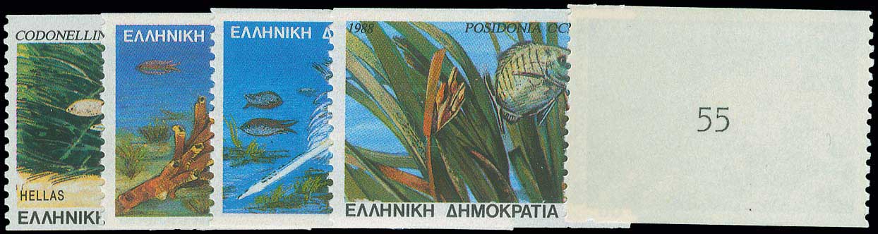 Lot 00762