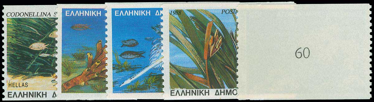 Lot 00763