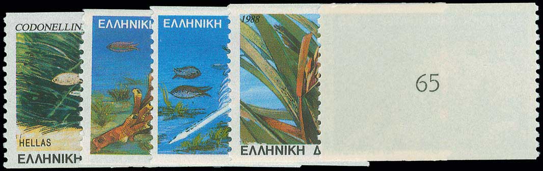 Lot 00764
