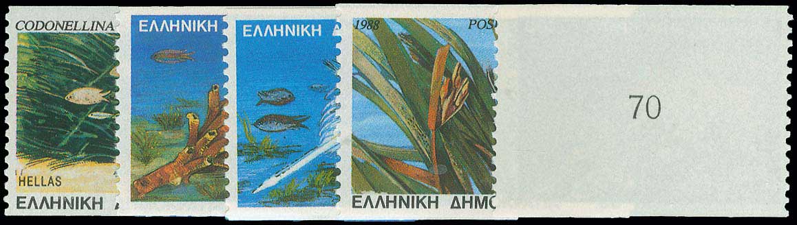 Lot 00765