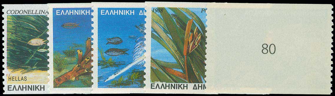 Lot 00767