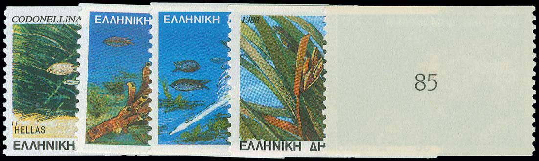 Lot 00768