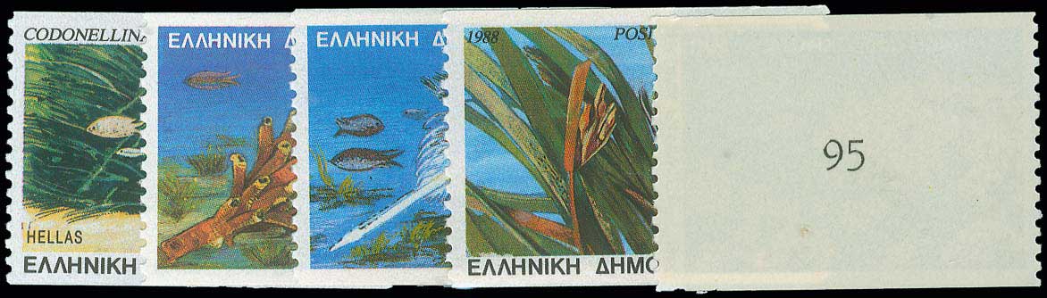 Lot 00561