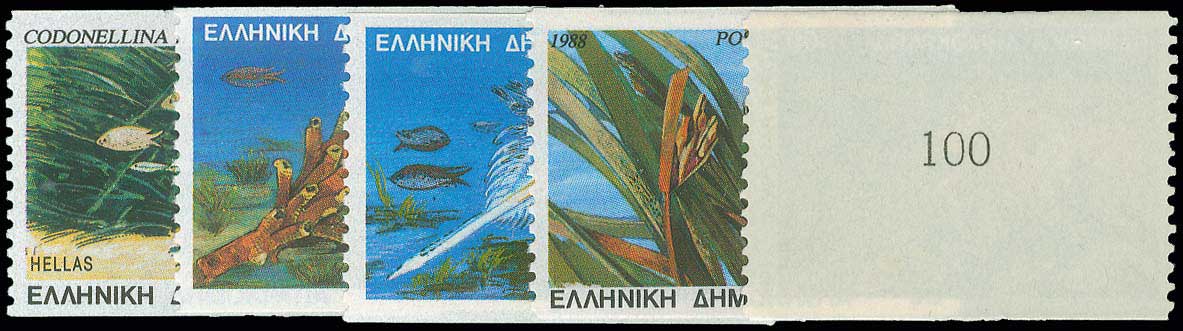 Lot 00562