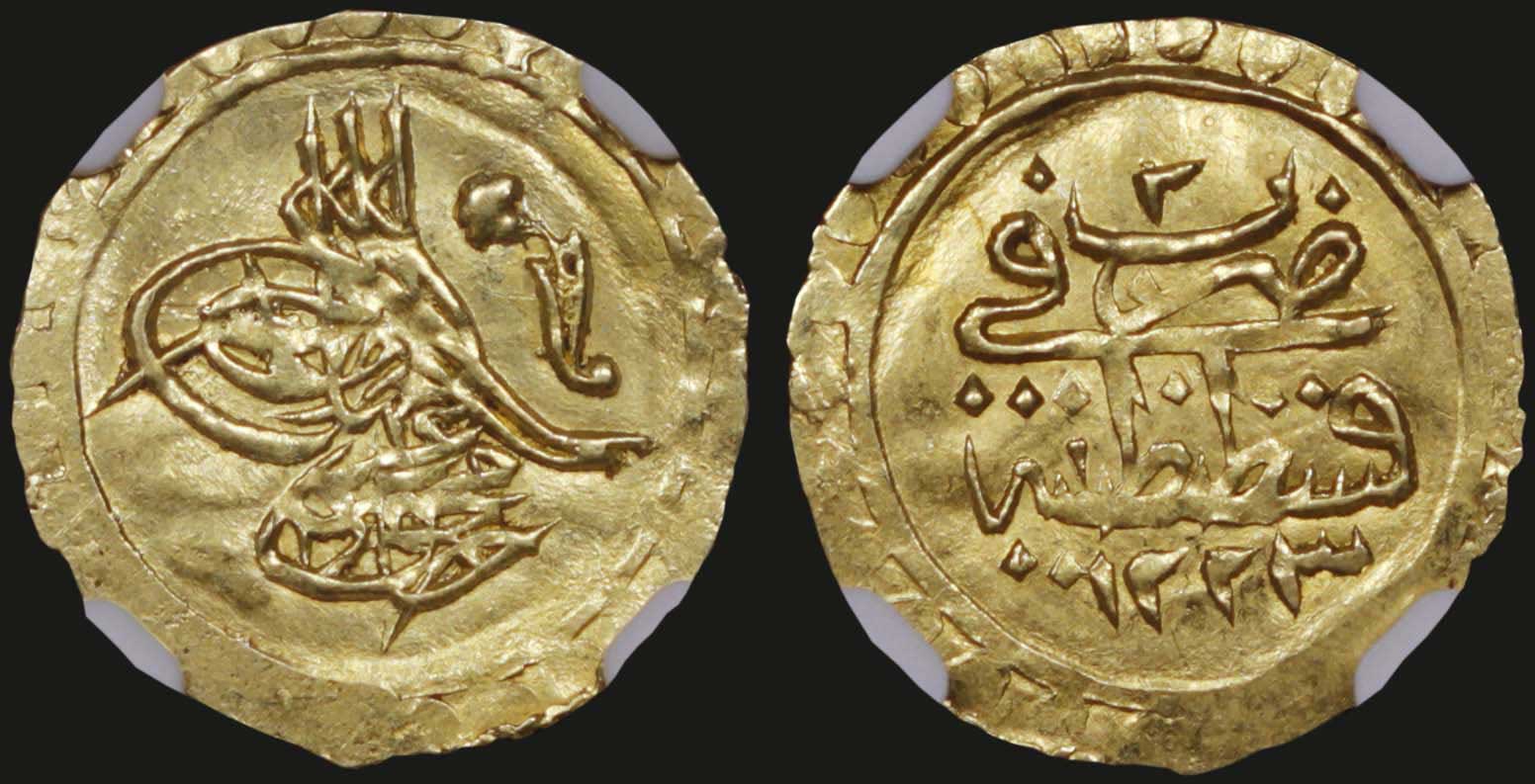 Lot 07137