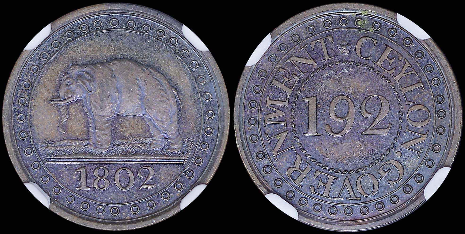 Lot 07309