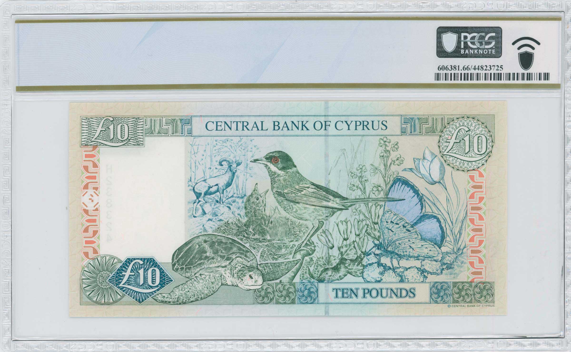 Lot 06919