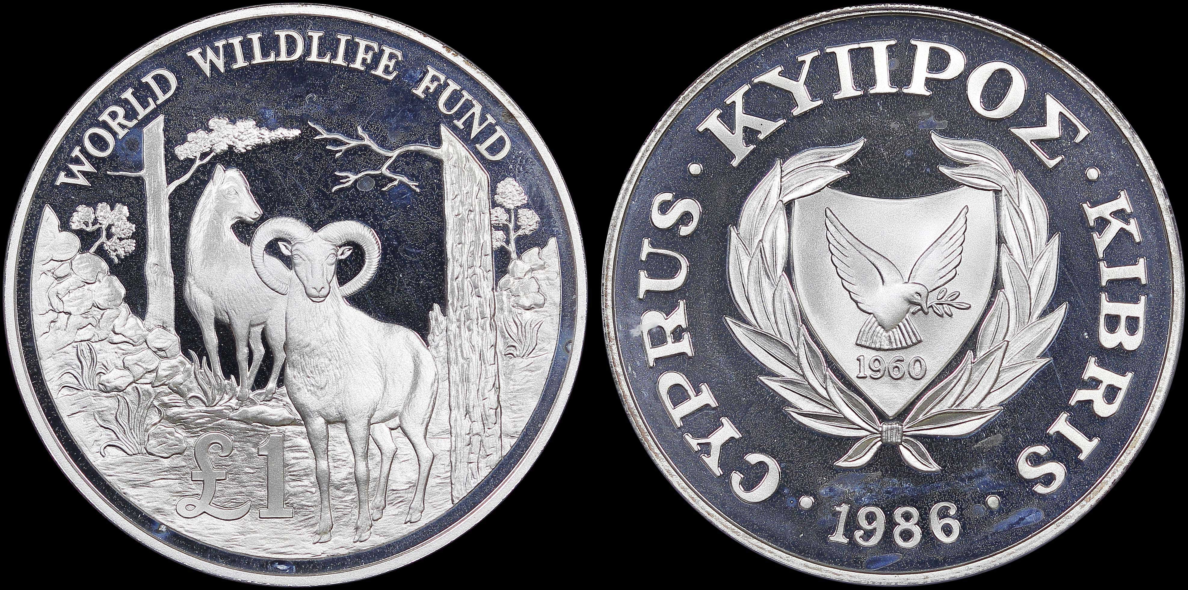 Lot 06541