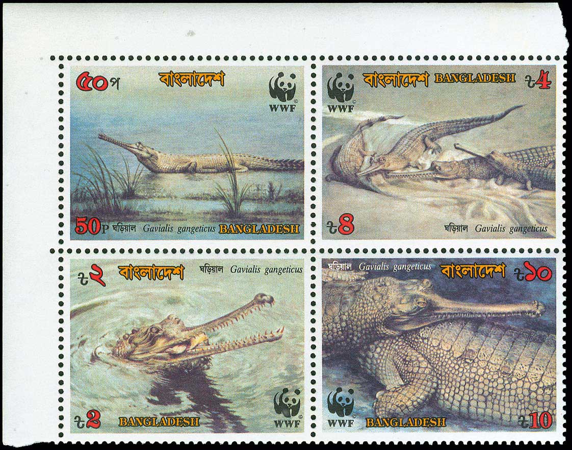 Lot 01169