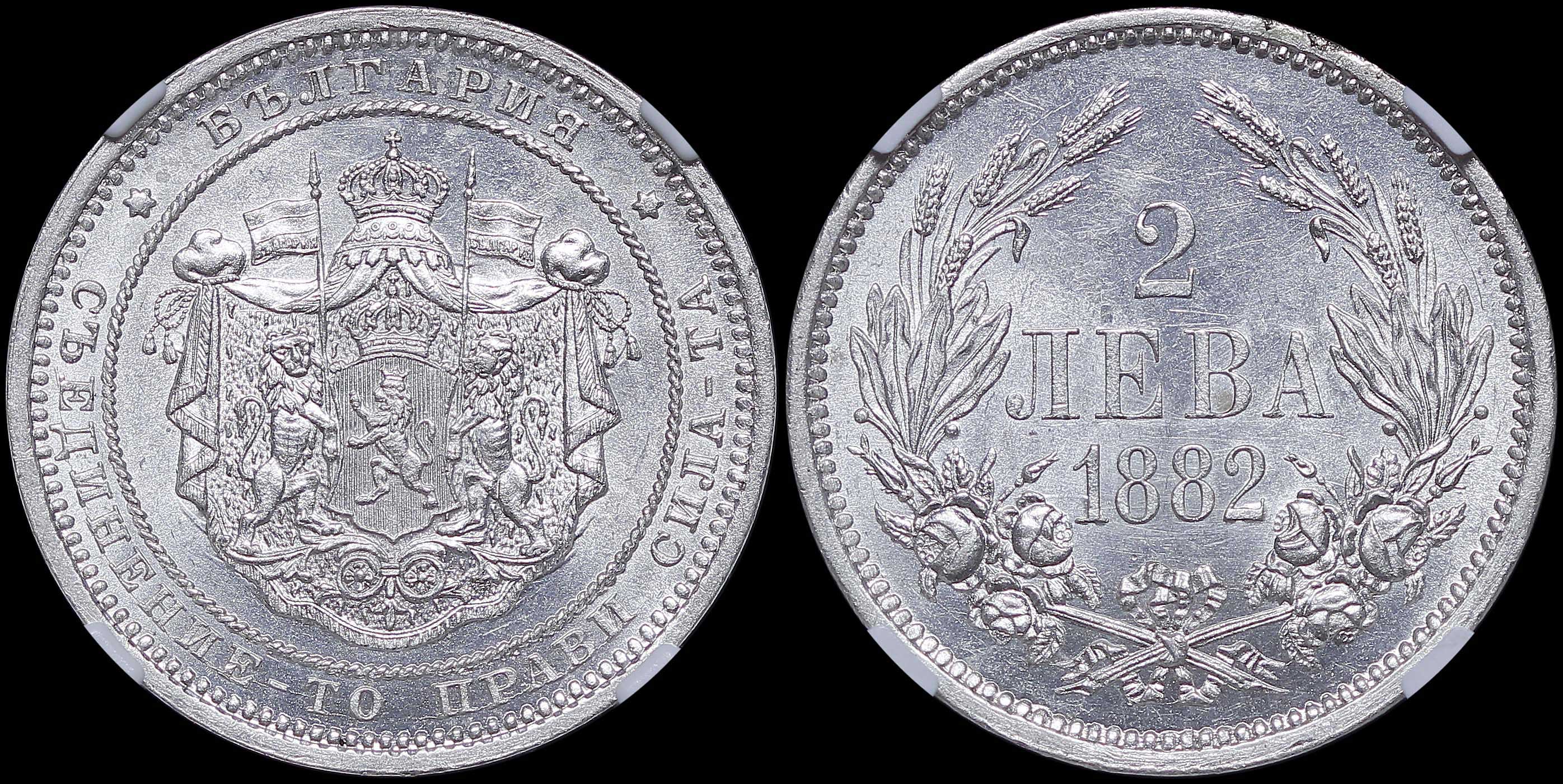 Lot 06951