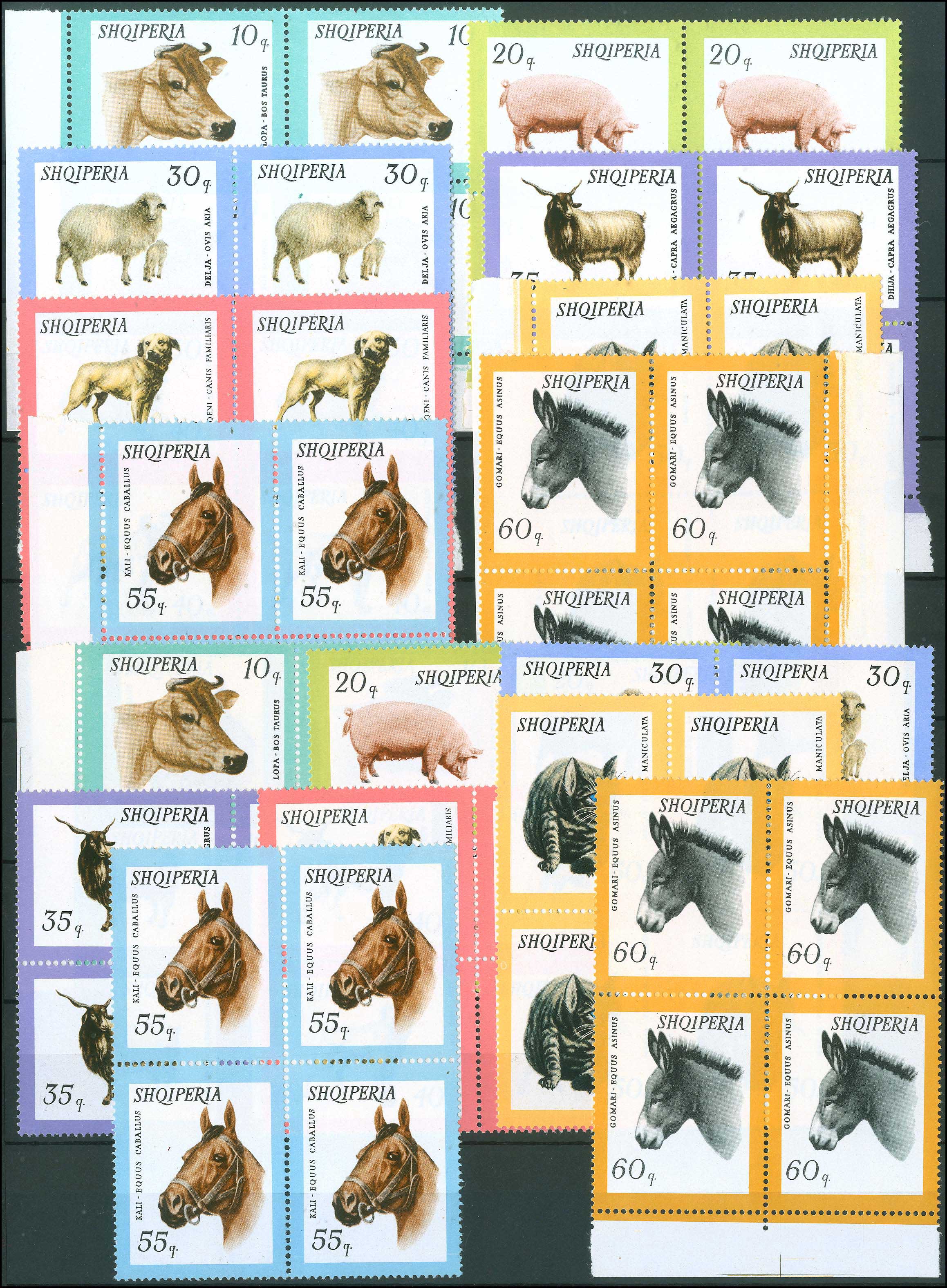Lot 01134