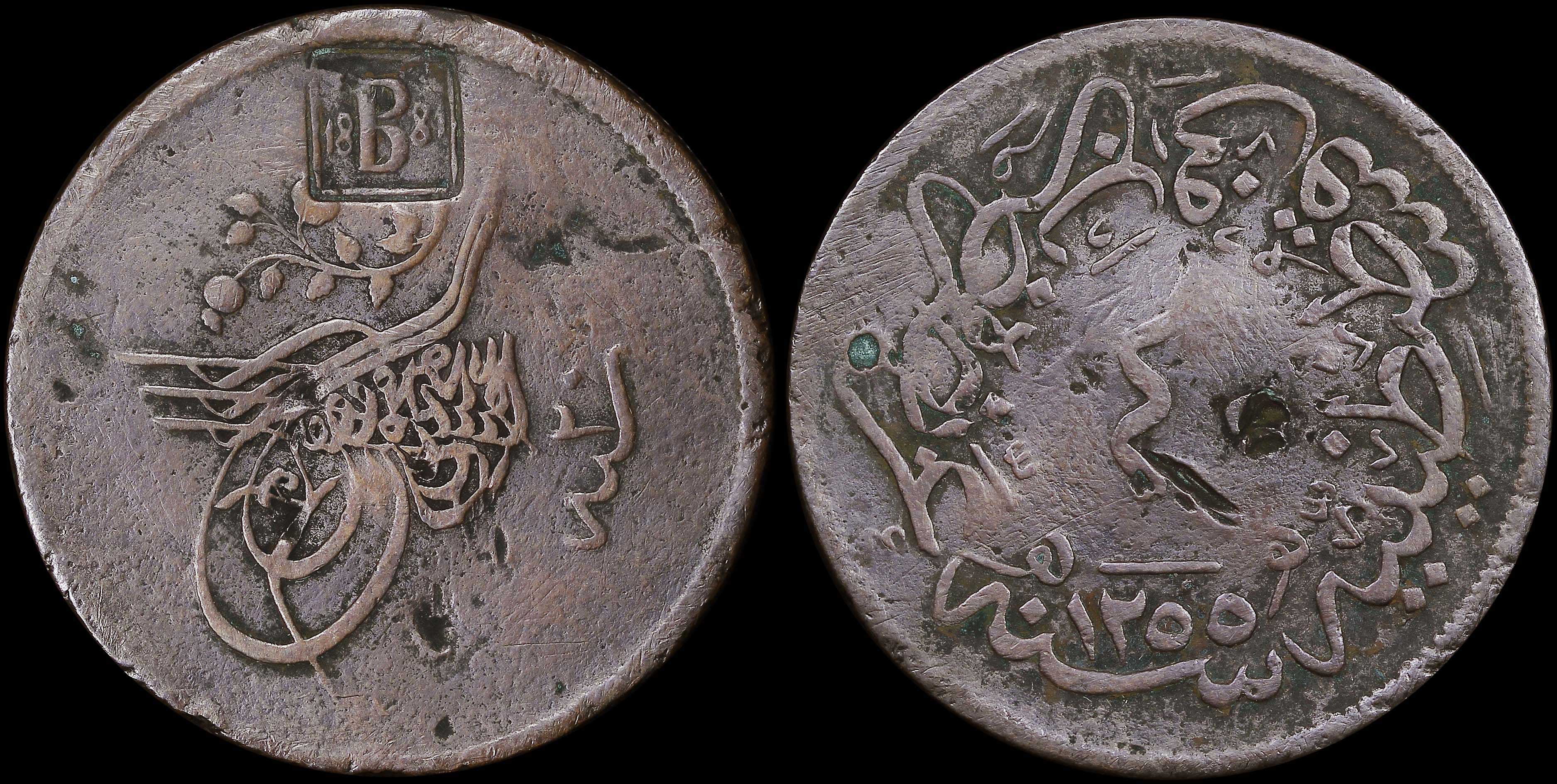 Lot 06560