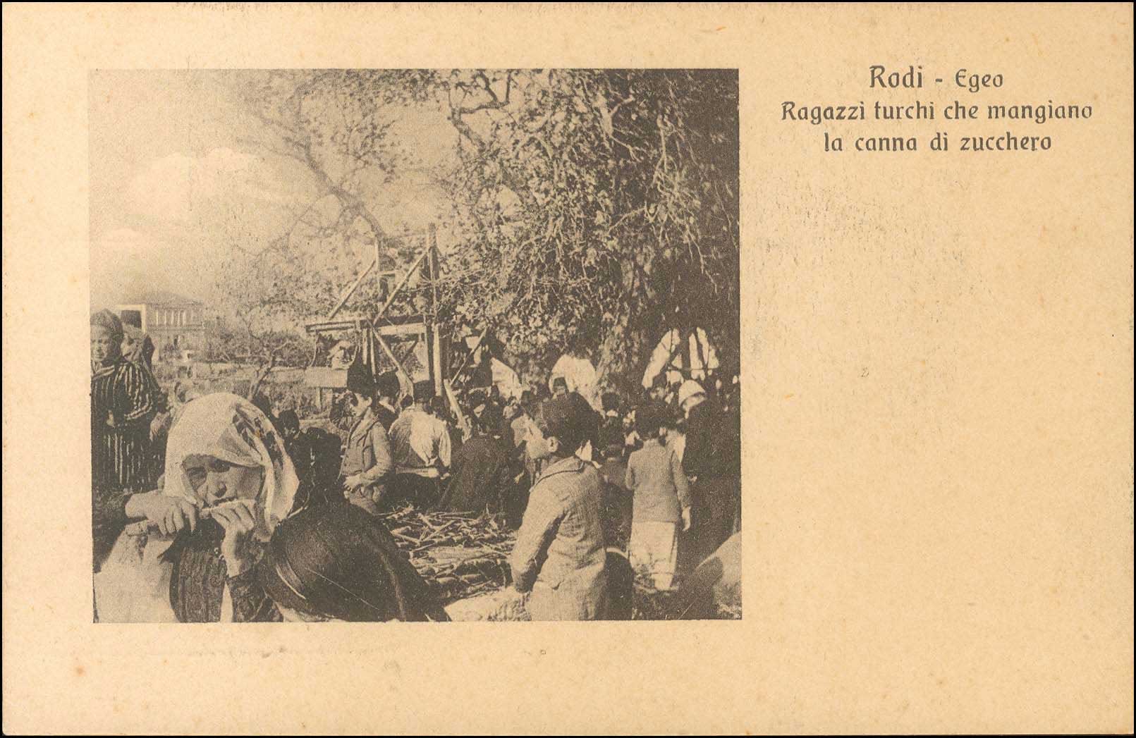 Lot 01371