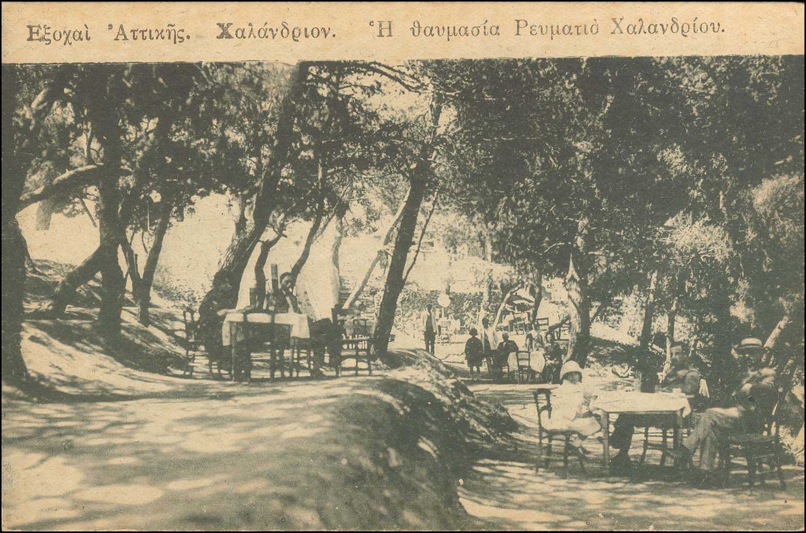 Lot 01613