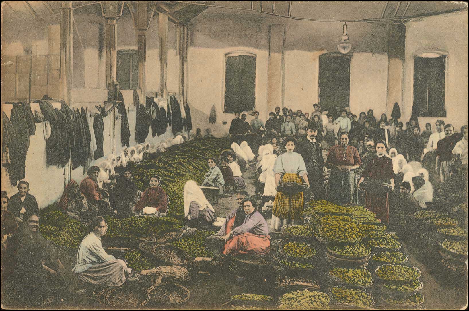 Lot 01865