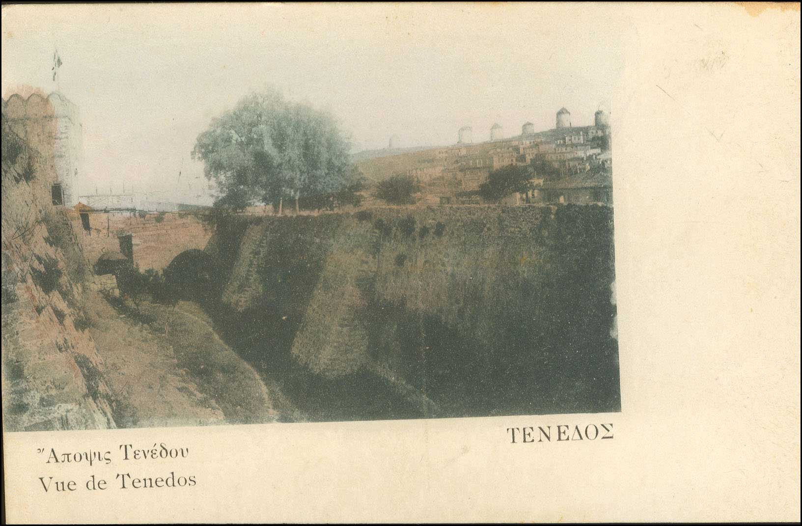 Lot 01785