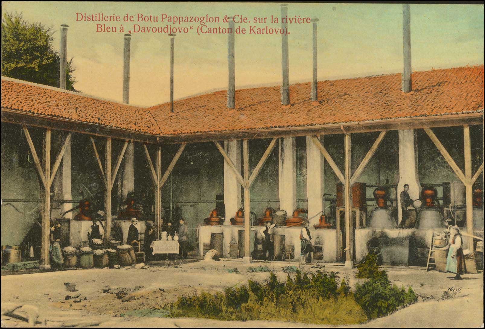 Lot 01889