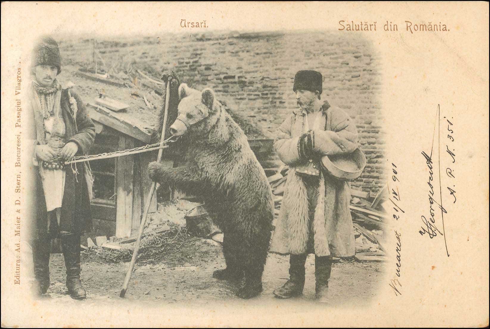 Lot 01898