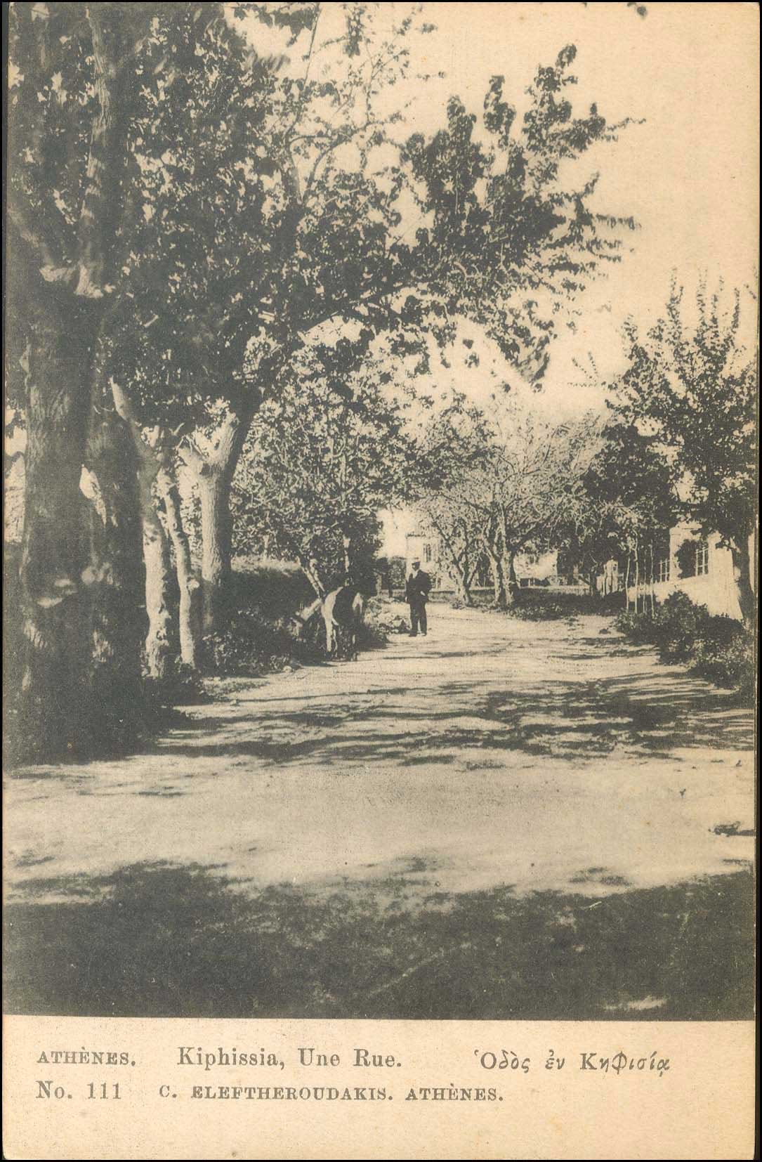 Lot 01577