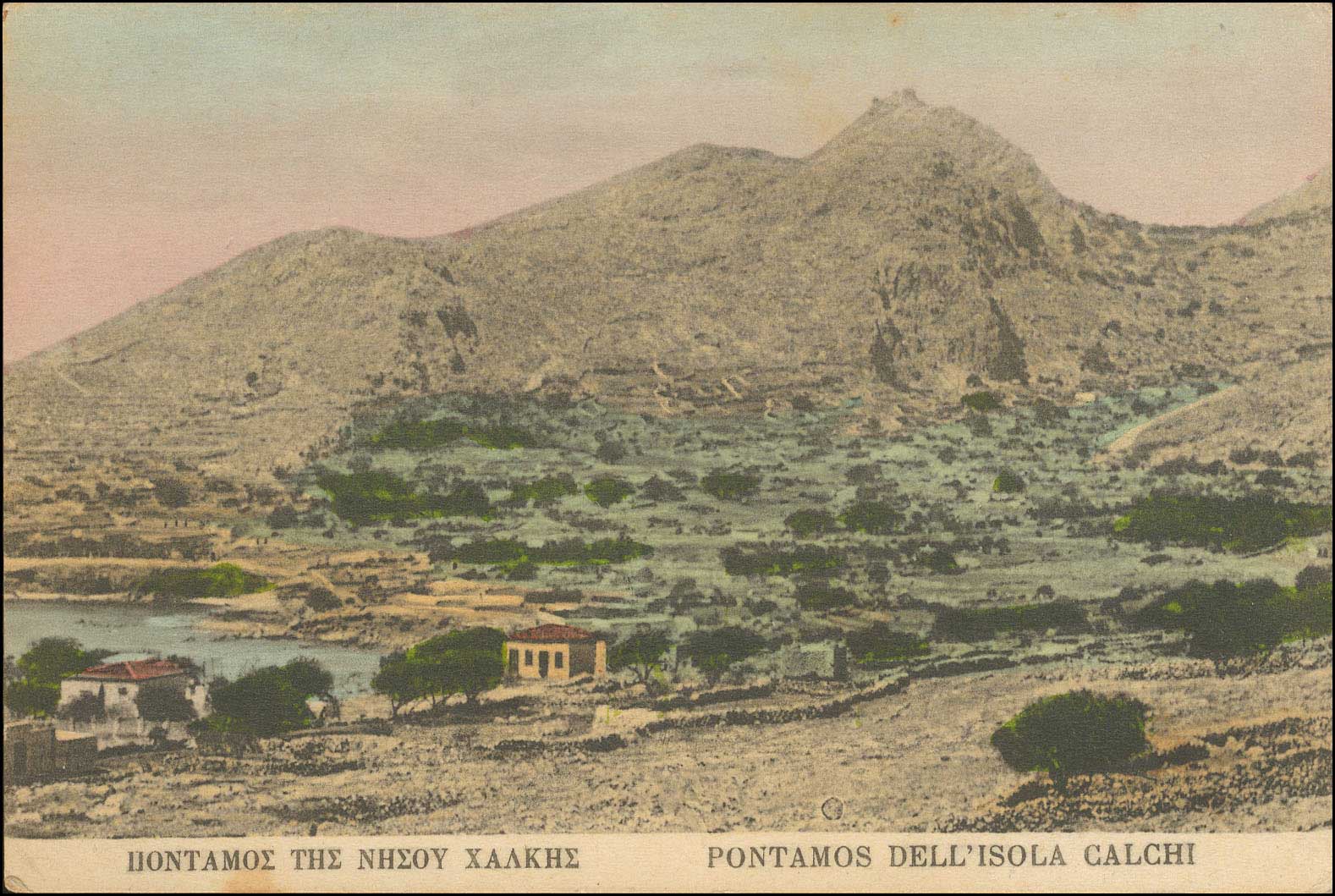 Lot 01344
