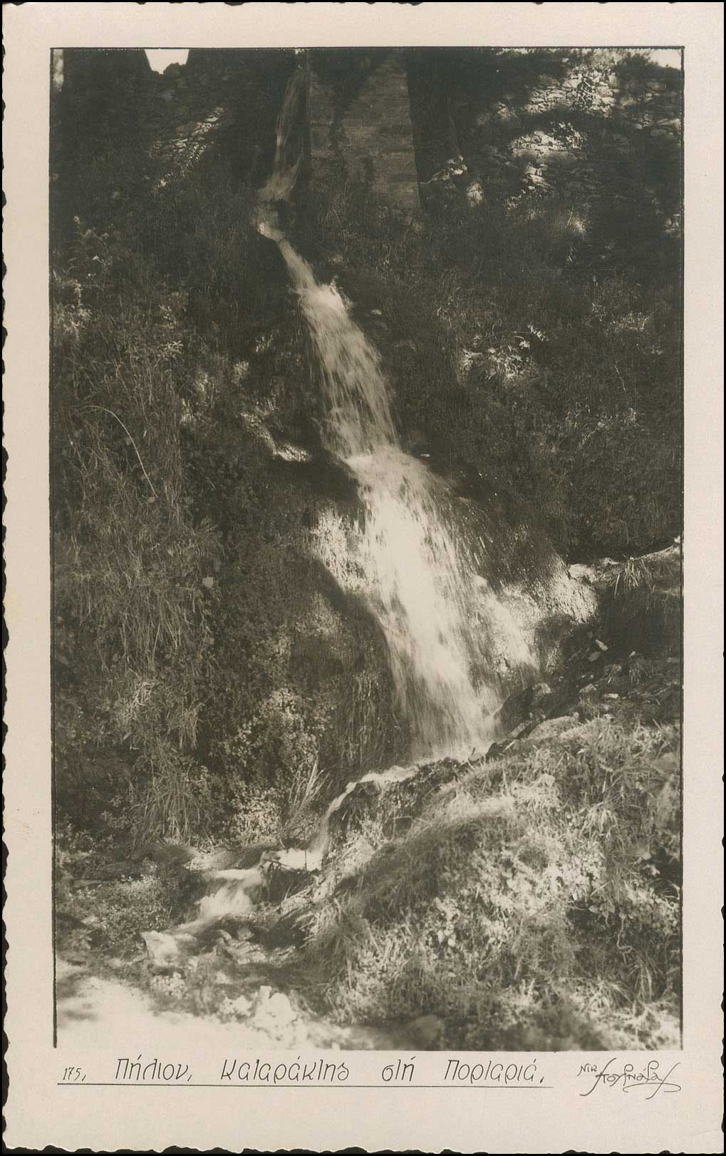Lot 01675