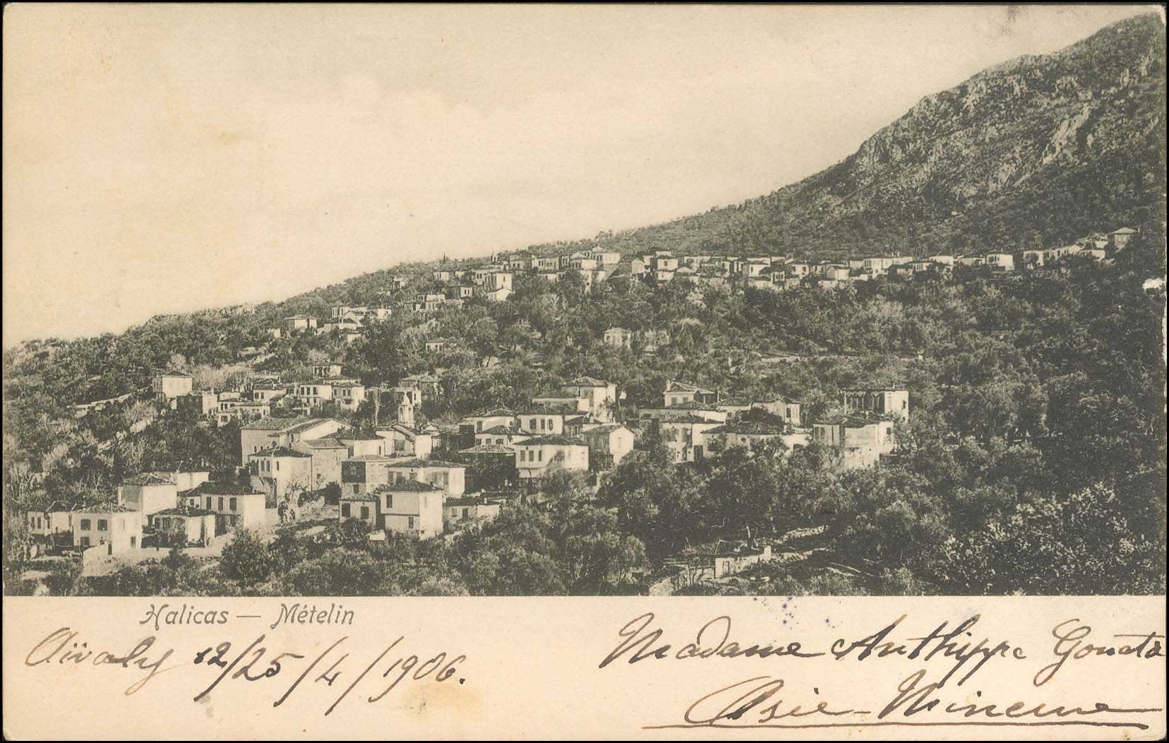 Lot 01409