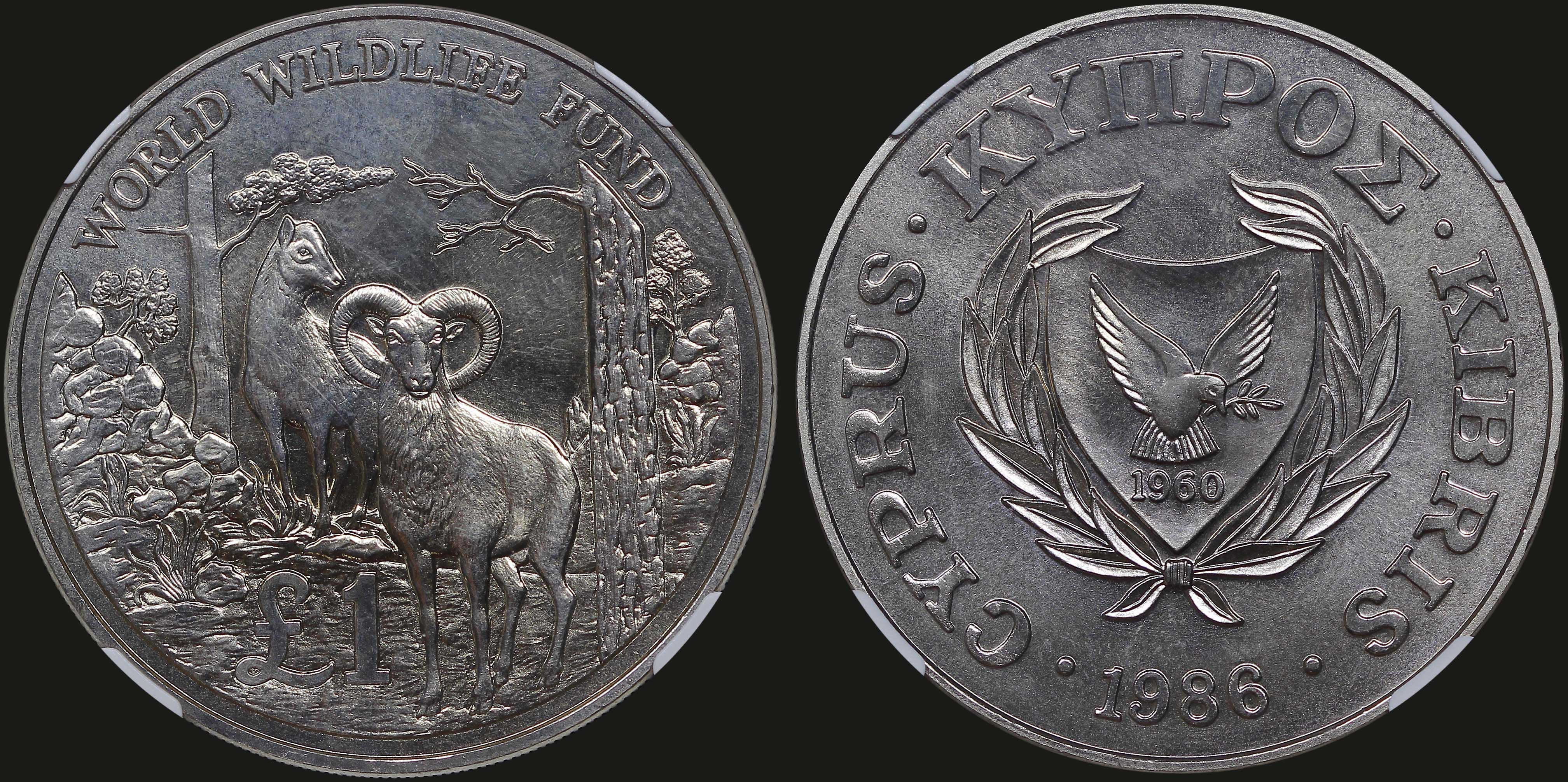 Lot 06524