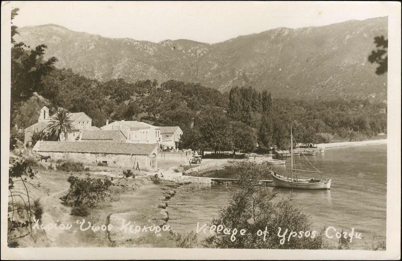 Lot 01646