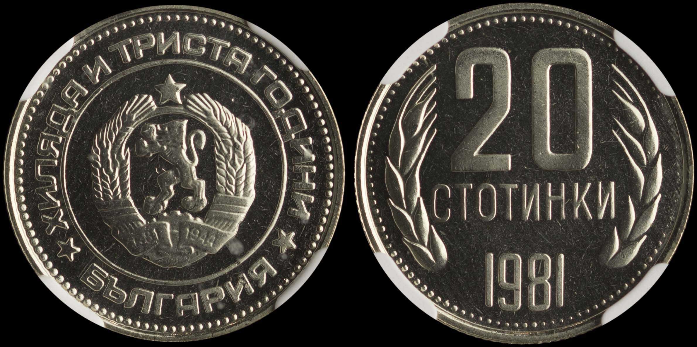 Lot 06913