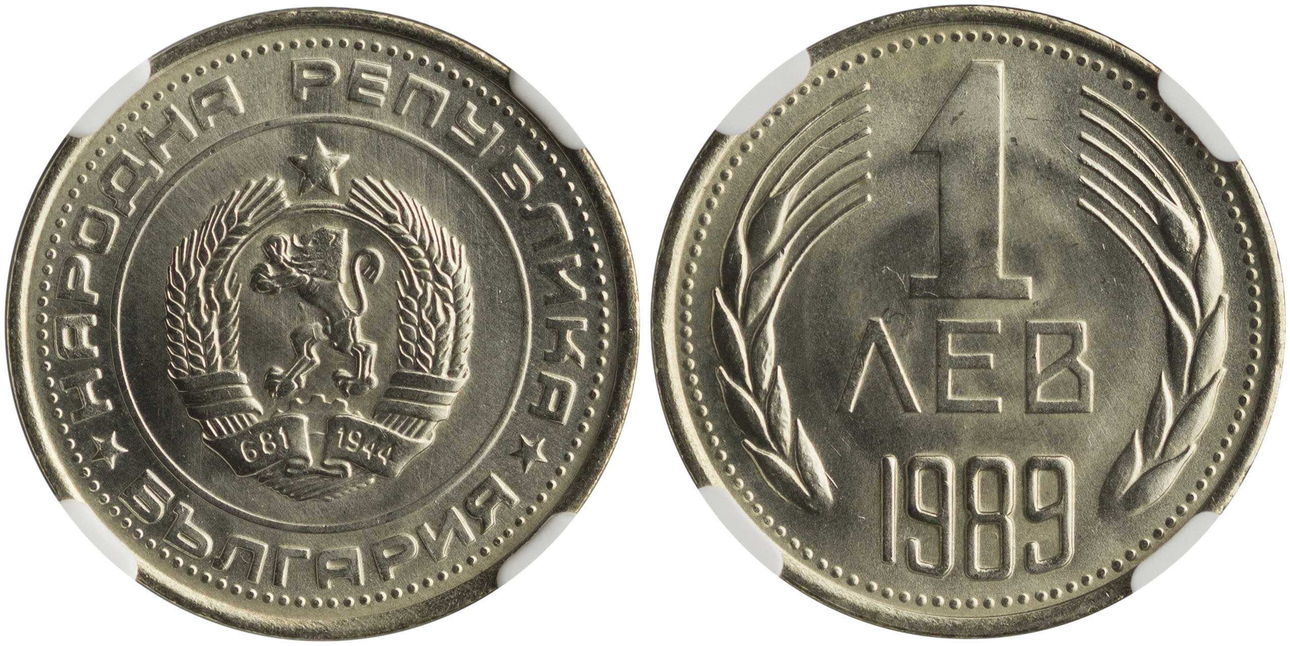 Lot 07113