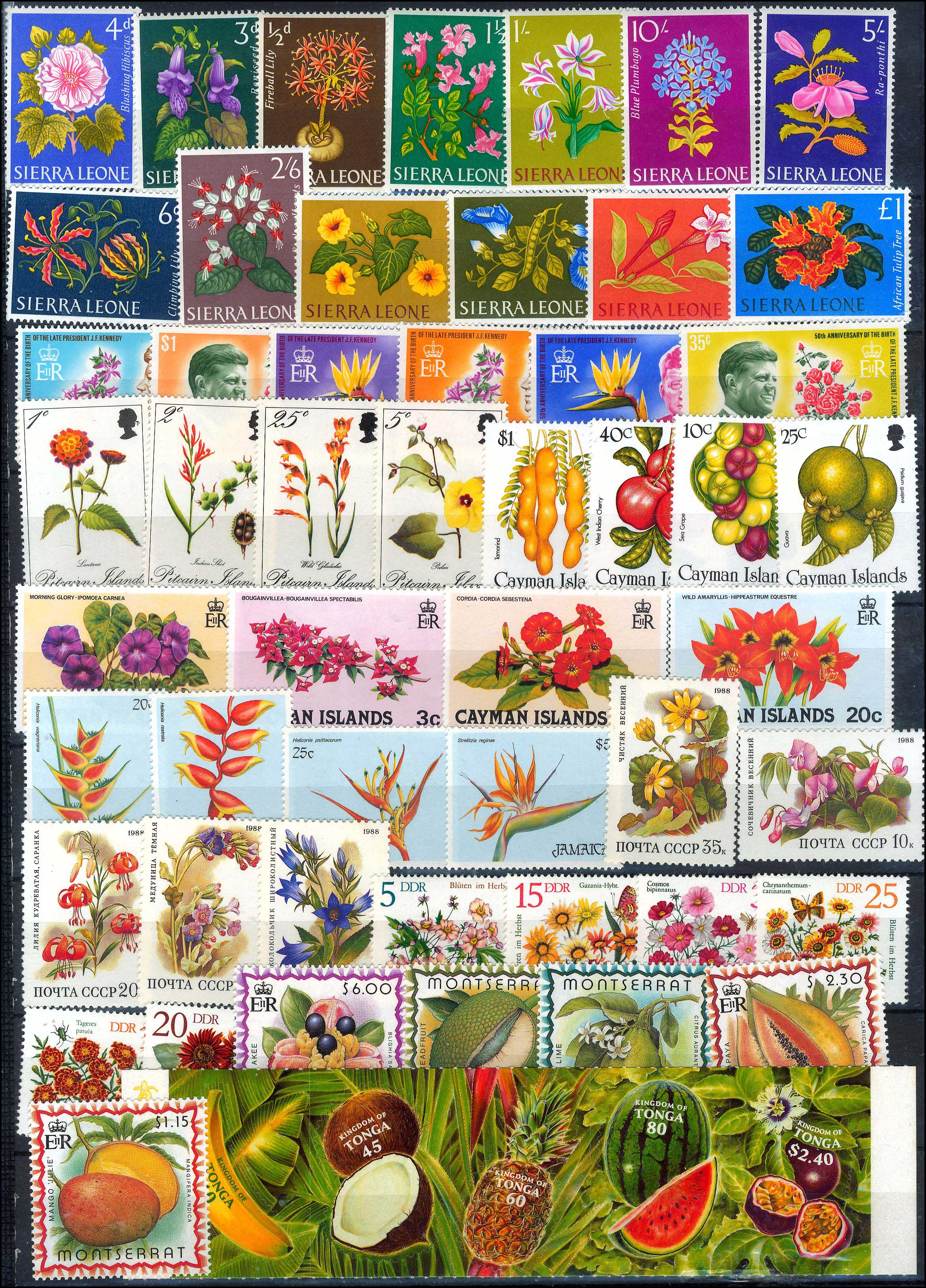 Lot 00988