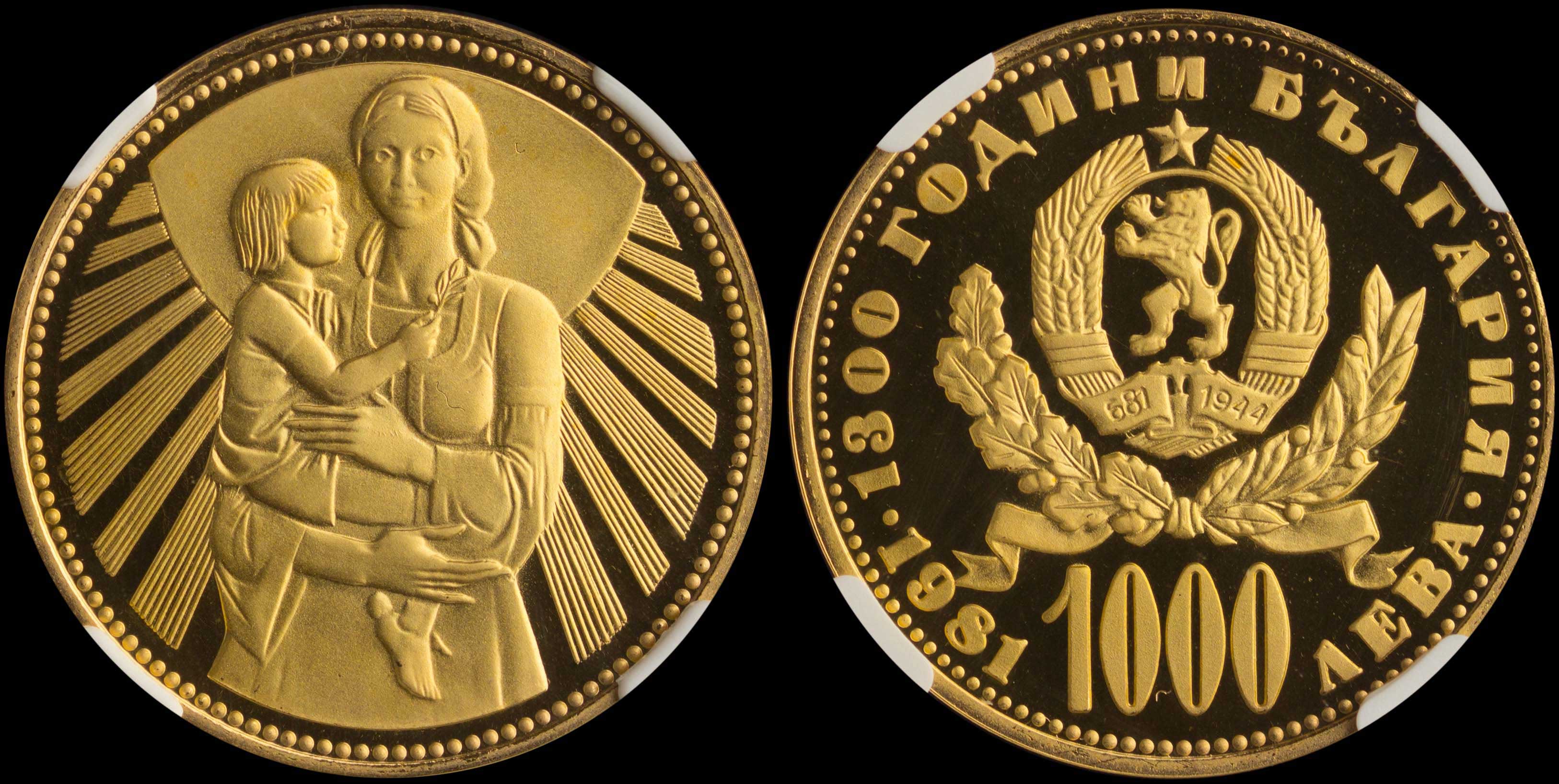 Lot 06647