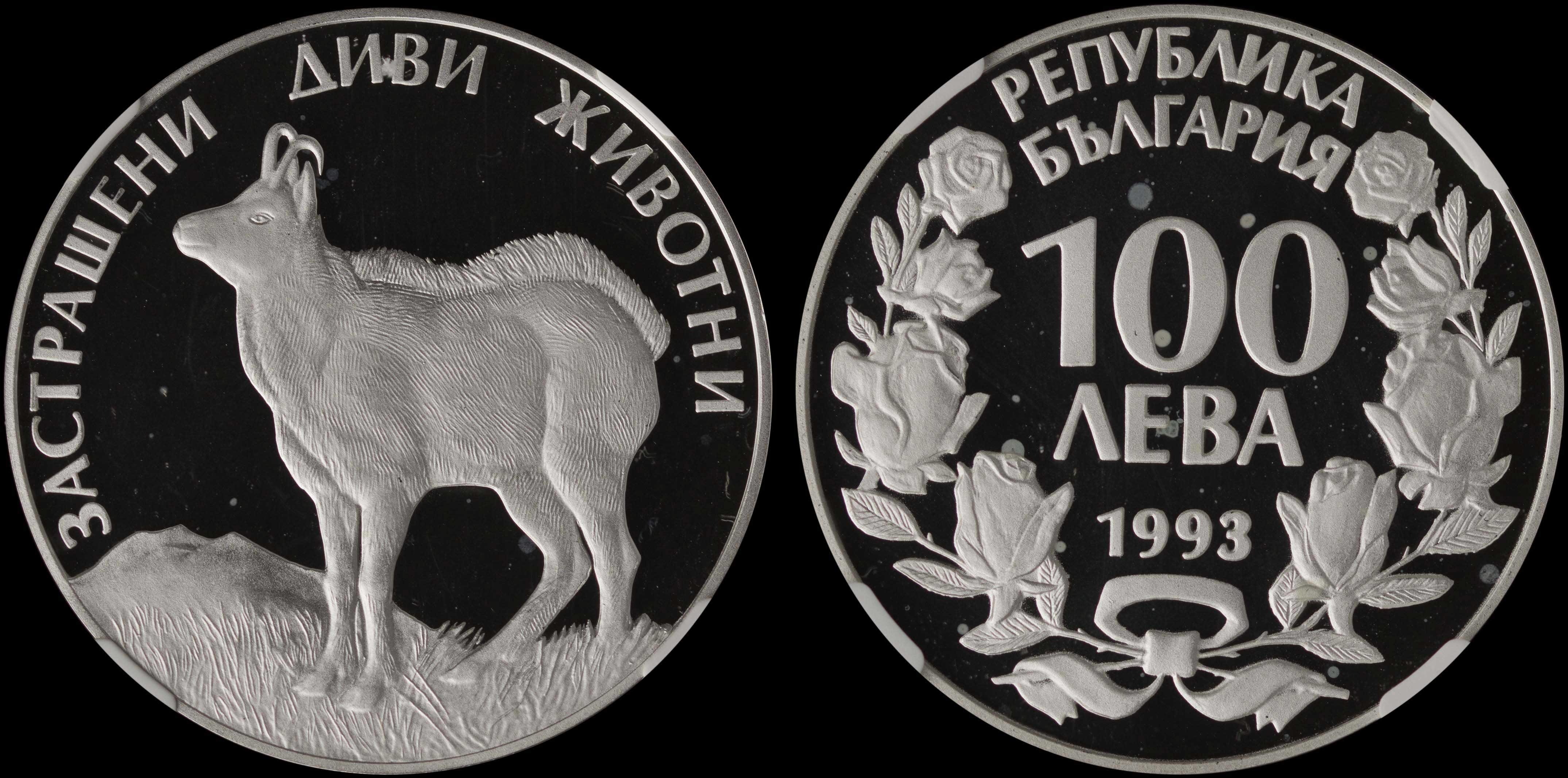 Lot 07246