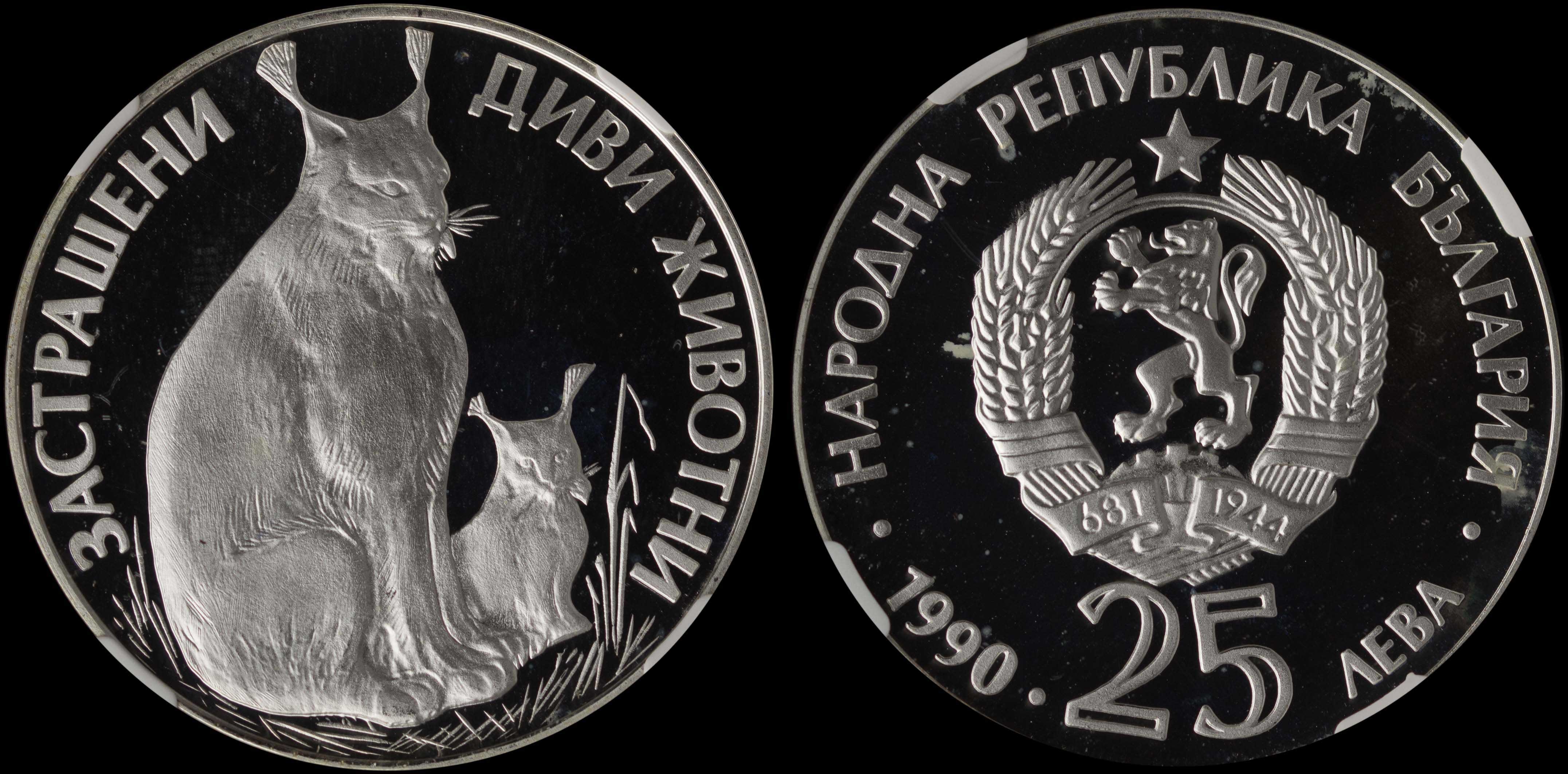 Lot 07245