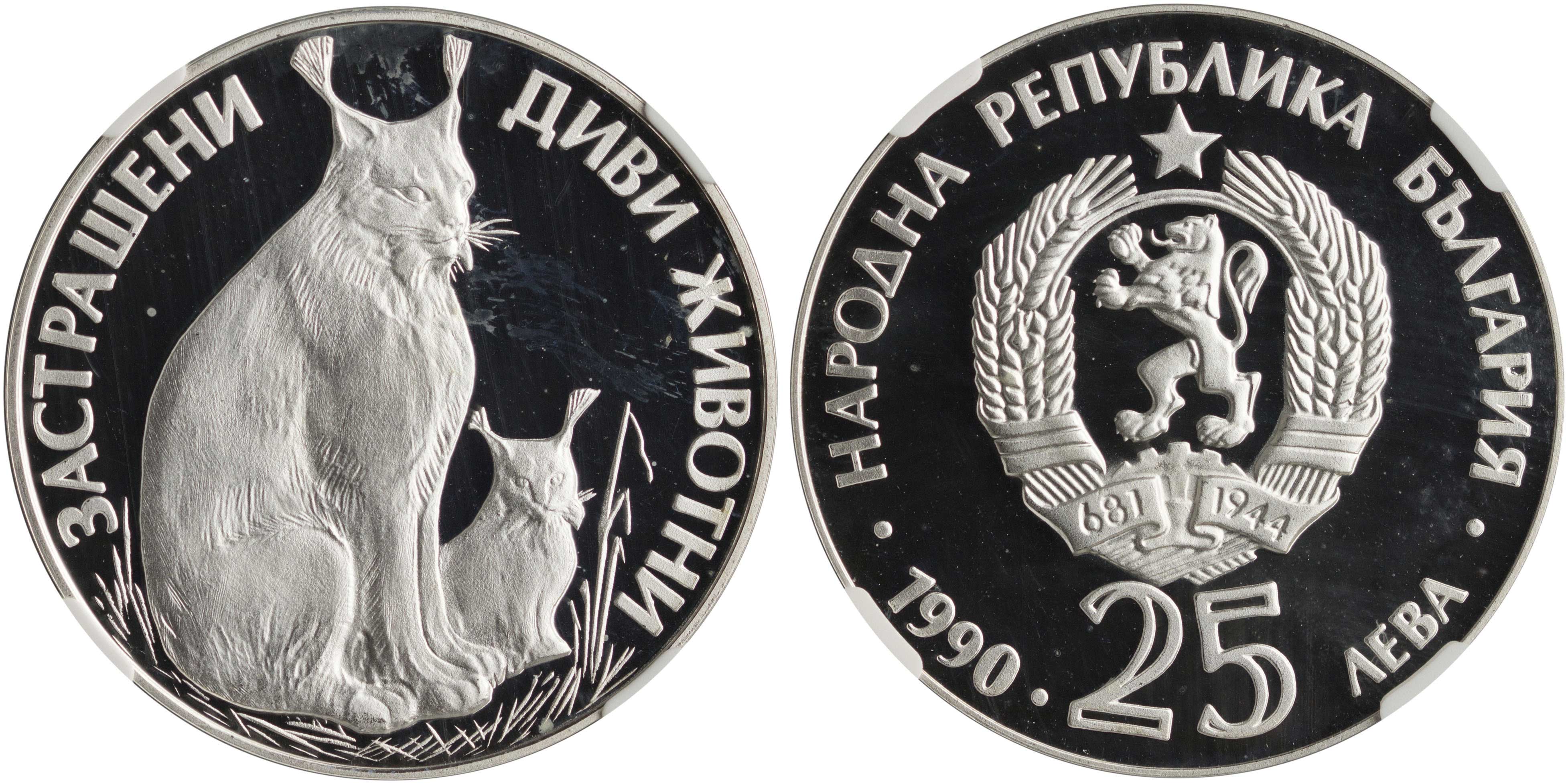 Lot 07118