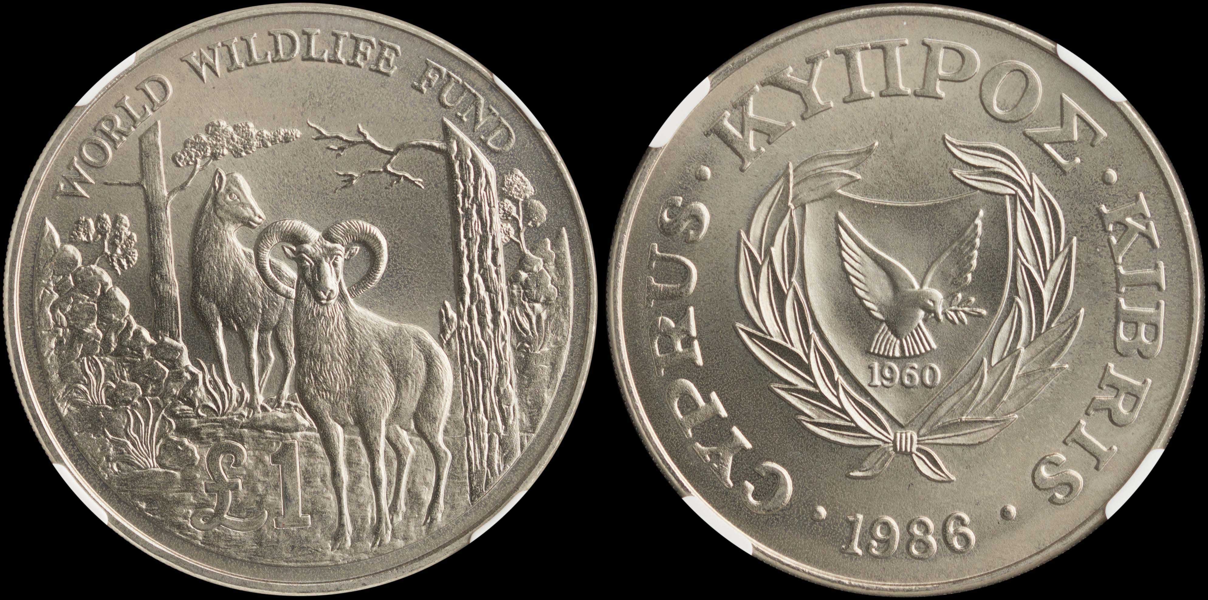 Lot 06305