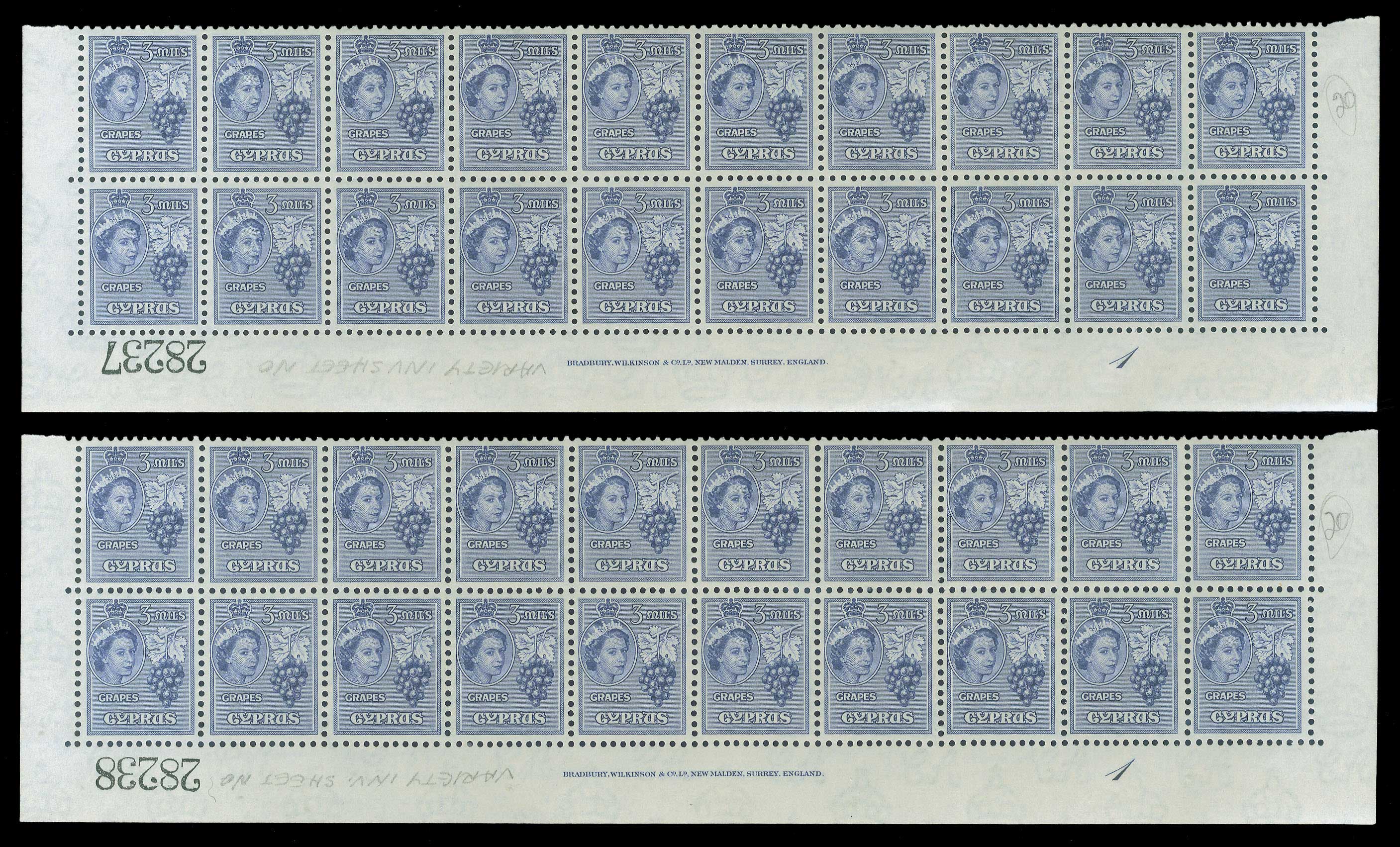 Lot 05195