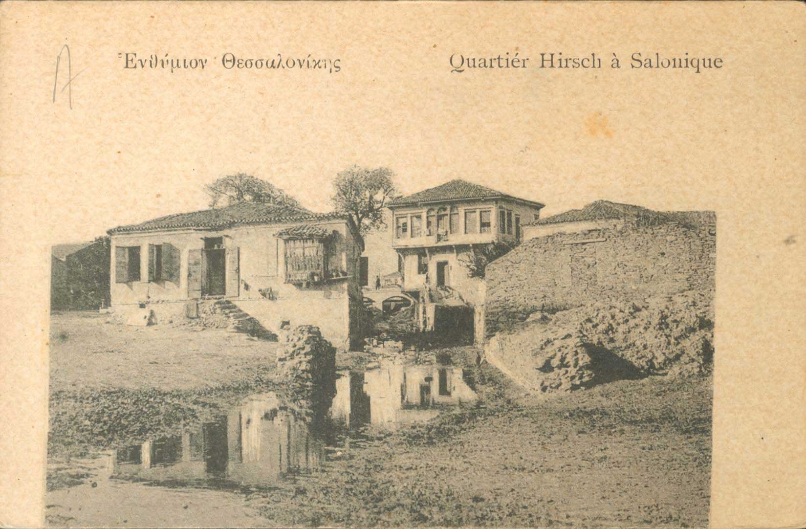 Lot 01858